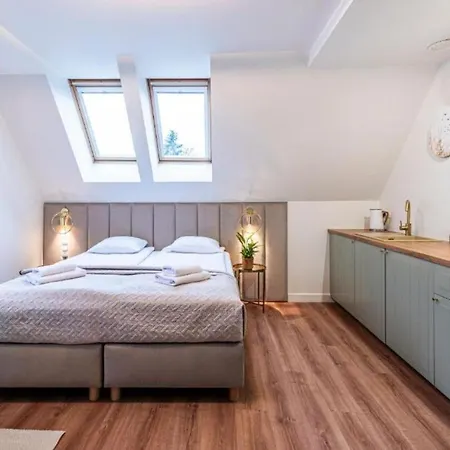 Apartman Vokey Studio 04 - Center